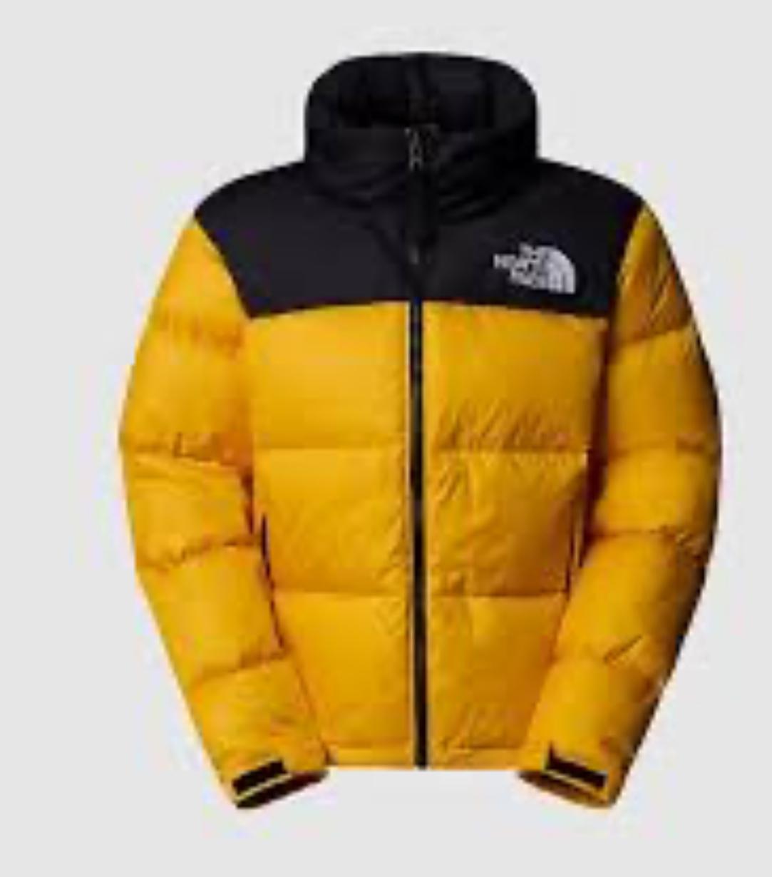 GIUBBOTTO THE NORTH FACE